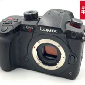 【中古】 【並品】 パナソニック LUMIX DC-GH5S-K ボディ ブラック
