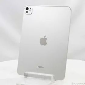 ソフマップ 〔中古品〕 iPad Pro 11インチ 第5世代 標準ガラス 256GB シルバー MVV93J／A Wi-Fi【251】