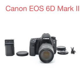 キヤノン(Canon)のCanon EOS 6D Mark II / Canon EF 75-300㎜ (デジタル一眼)