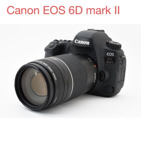 キヤノン(Canon)の保証/一眼レフカメラ Canon EOS 6D Mark II 望遠レンズセット(デジタル一眼)
