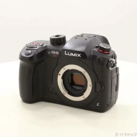 【中古】Panasonic(パナソニック) DC-GH5S ボディ 【262-ud】