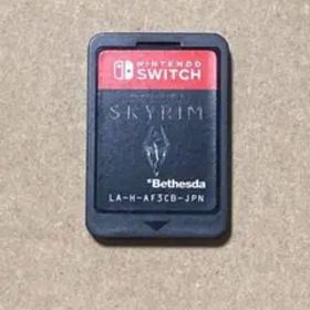 The Elder Scrolls V: Skyrim パッケージなし