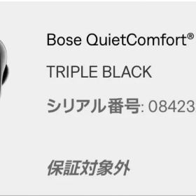 Bose QuietComfort Earbuds II 中古