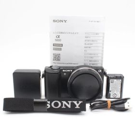 5892ショット！嬉しい説明書付き！■極上品■ SONY α5000 ボディ ブラック