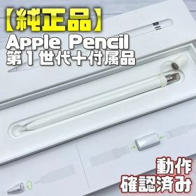動作確認済み【純正品】Apple Pencil 第一世代 付属品＋カバーセット