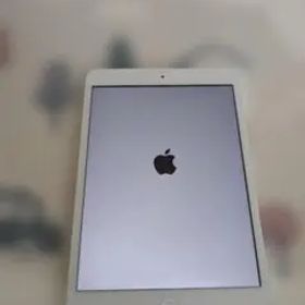 【ジャンク】 iPad mini2