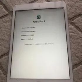 iPad mini2