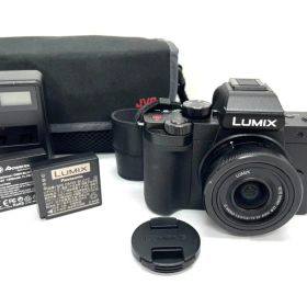 26H1-168 Panasonic パナソニック LUMIX DC-G100D