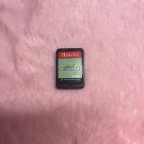 あつまれ どうぶつの森 Nintendo Switch