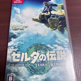 ゼルダの伝説 ティアーズ オブ ザ キングダム