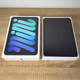 iPad mini A17Pro 第７世代 512GB スペースグレイ