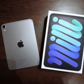 iPad mini(A17Pro) 256GB wifi+cellular