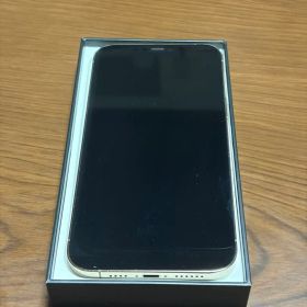 iPhone12 Pro Max 256