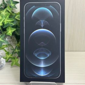 ✅バッテリー100％✨iPhone 12 Pro Max 128GB ✨