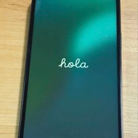 iPhone 12 Pro Max 256GB SIMフリー