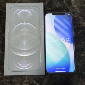 iPhone 12 Pro Max 256GB