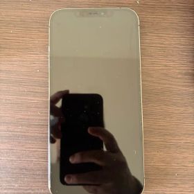 iPhone 12 Pro MAX ジャンク品