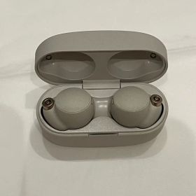 Sony WF-1000XM4 (イヤホンバッテリー劣化品)