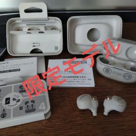 鬼滅の刃 SONY ヘッドホン「WF-1000XM4」イヤホン 冨岡 義勇