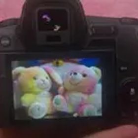 Canon EOS R ミラーレスカメラ