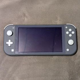 Nintendo Switch Lite グレー 本体 任天堂 スイッチライト
