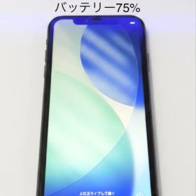 Apple iPhone 11 128GB ブラック SIMフリー 本体