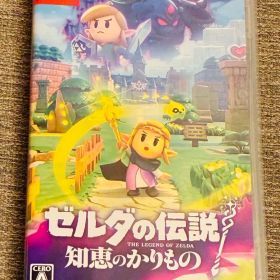 ゼルダの伝説 知恵のかりもの Nintendo Switch