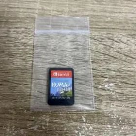 ヒューマンフォールフラット Nintendo Switch