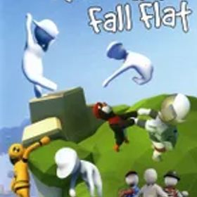 NS ヒューマンフォールフラット 通常版