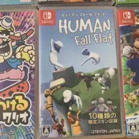 ヒューマン フォール フラット