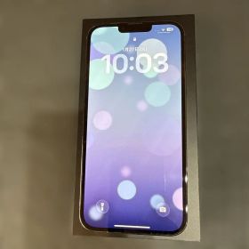 Apple iPhone 13 Pro max 1TBスペースブラックおまけ付き