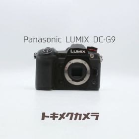 【完動品】Panasonic LUMIX DC-G9 動作確認済み