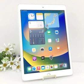 Apple iPad 第7世代 Wi-Fiモデル 32GB A2197(MW752J/A) シルバー 動作品