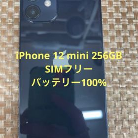 iPhone 12 mini 256 GBブラックSIMフリー【8530】