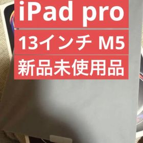iPad pro 13 M5 1TB ナノテク セルラー AppleCare＋