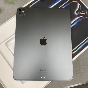 iPad Pro 13インチ M4チップ 256GB WiFi + Cellular 2024モデル 送料無料