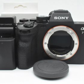 ▪️美品▪️ソニー SONY ILCE-7M4 ボディ 《ショット数6800回》