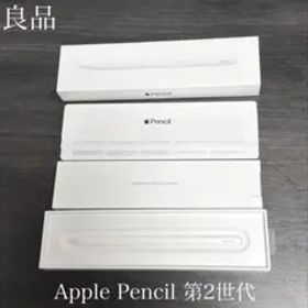 良品 正常動作確認 Apple Pencil 第2世代 MU8F2J/A r6
