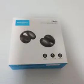 Anker Soundcore C40i