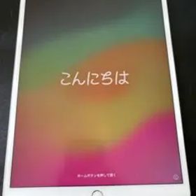 iPad Pro wifiモデル10.5インチ 265G