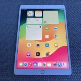 820 外観美品☆iPad Pro 256GB 10.5インチ WIFIモデル