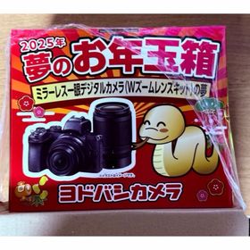 ニコン(Nikon)のヨドバシ2025夢のお年玉箱 ミラーレス一眼Nikon Z50(ミラーレス一眼)