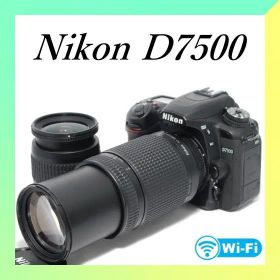 ✨Nikon D7500✨Wレンズ✨ショット数343✨超望遠300mm✨一眼レフ