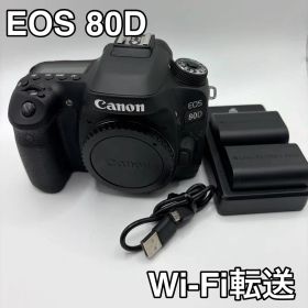 Canon EOS 80D デジタル一眼レフカメラ ボディ バッテリー付き