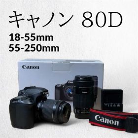 Canon EOS 80D カメラ レンズ2本セット