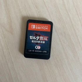 (詳細不明)ゼルダ無双 厄災の黙示録 Nintendo Switch