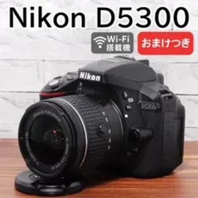 ✨Wi-Fi搭載機 付属品多数✨Nikon D5300 レンズセット