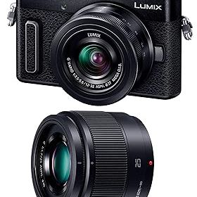 【中古】(非常に良い)パナソニック ミラーレス一眼カメラ ルミックス GF10 ダブルレンズキット 標準ズームレンズ/単焦点レンズ付属 ブラック DC-GF10W-K