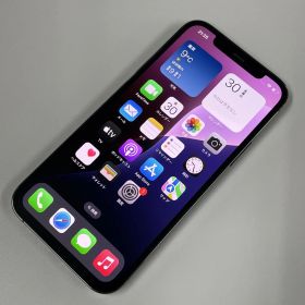 docomo iPhone 12 Pro 256GB グラファイト