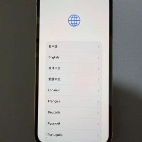 Apple iPhone 12 Pro ゴールド 256 GB 本体 美品
